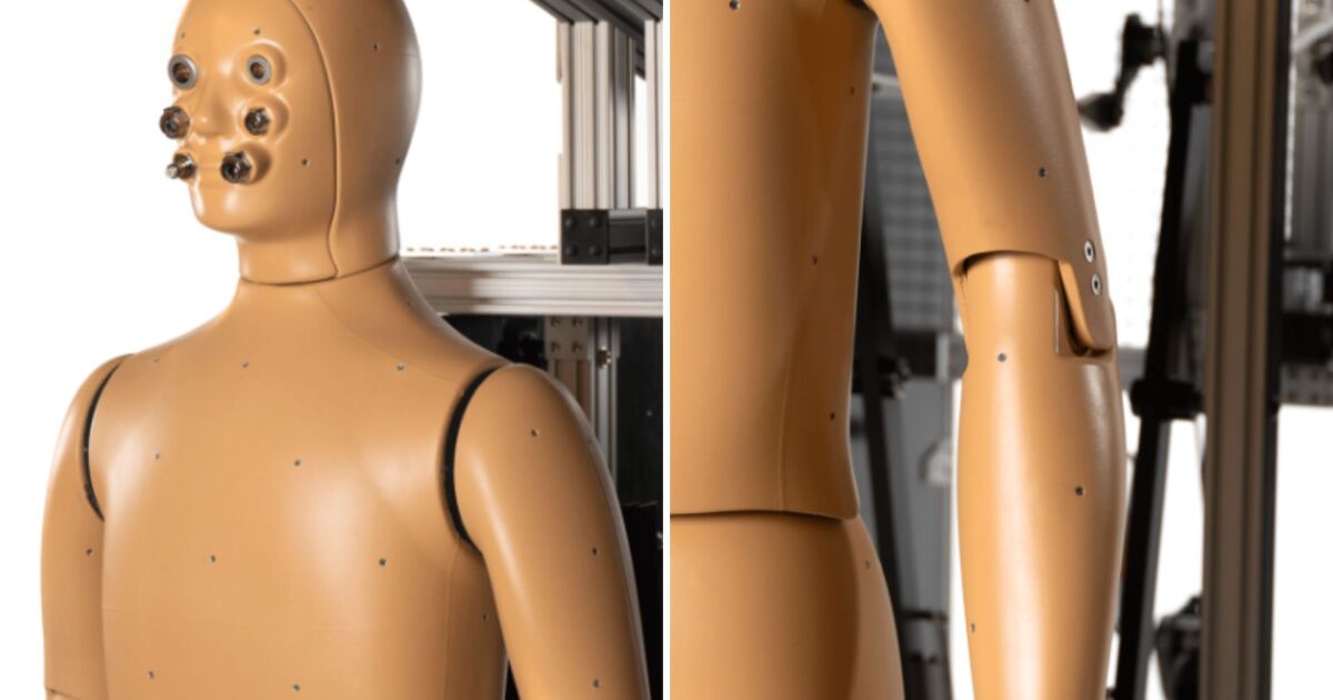 Conheça Andi, o primeiro robô que pode suar e simular a fisiologia humana