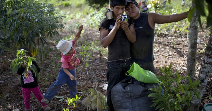 Fue el cultivo de la hoja de coca la que ayudó a financiar la guerra contra Sendero, afirma. "Sino, no hubiéramos vencido".