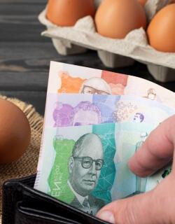 Precio del huevo en 2026