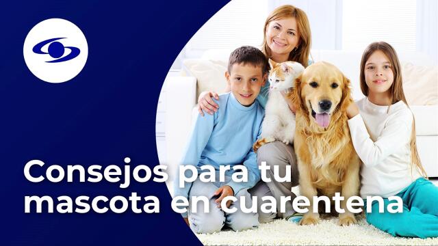 Consejos para cuidar a tu mascota en la cuarentena Consejos para cuidar a tu mascota en la cuarentena