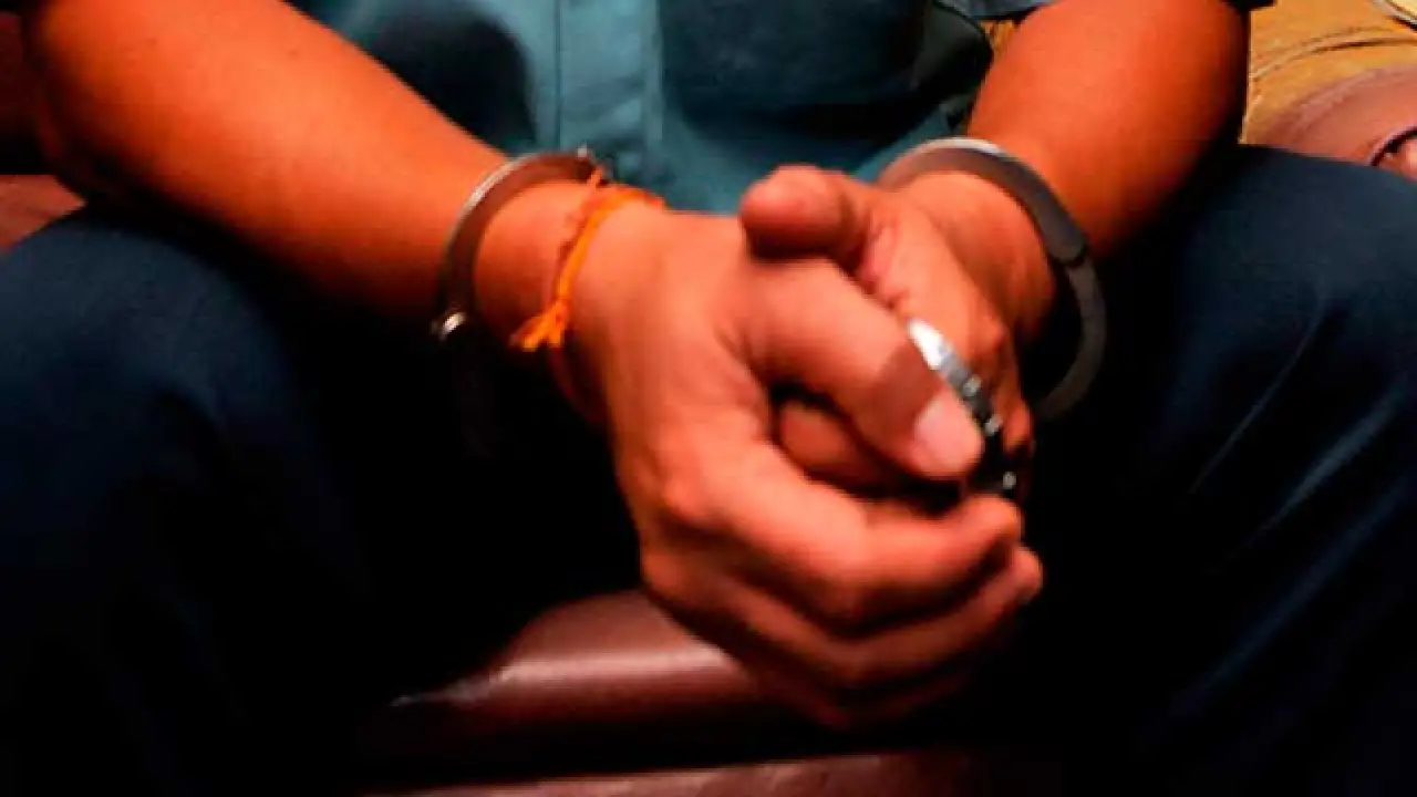 Hombre es condenado a dos años y medio de cárcel por matar un gato ...
