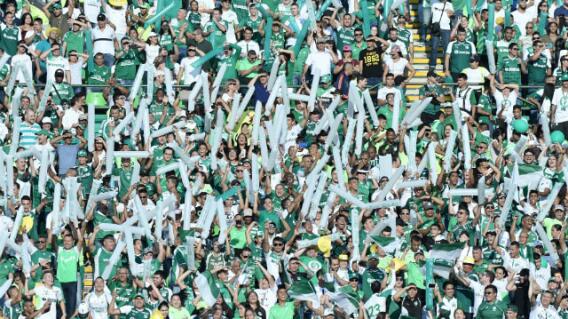 318387_Hinchas Deportivo Cali 318387_Hinchas Deportivo Cali