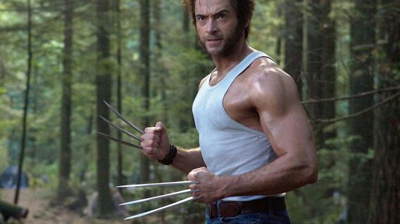 278419_Hugh Jackman, 'Wolverine' / Foto: AFP
