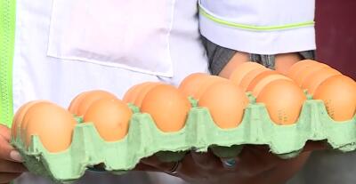 El Huevo está caro en Colombia