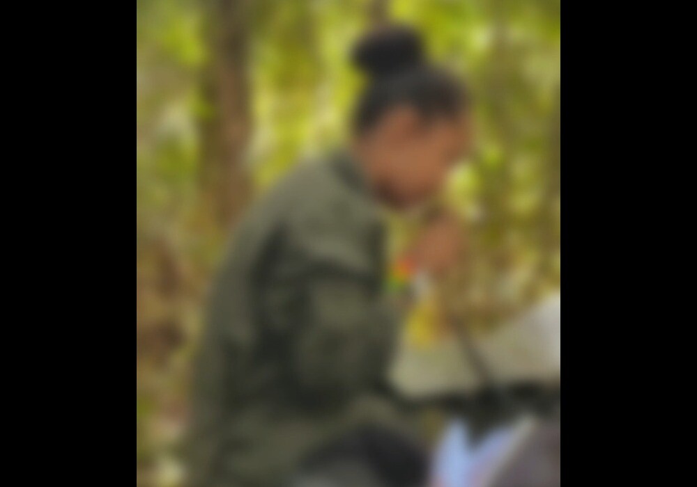 Video disidencias FARC