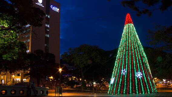 272797_Foto: Alcaldía de Cali.