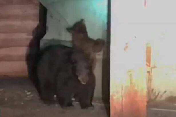 mama-osa.jpg