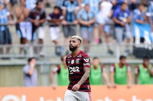 Gremio v Flamengo - Brasileirao Series A 2019
