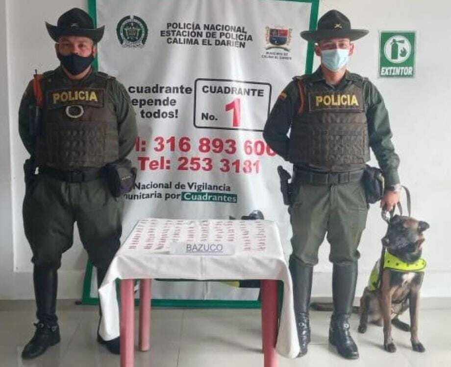 Perro encontró papeletas de bazuco en galería de Calima (2).jpeg