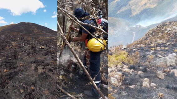 Incendio en Coromoro, Santander, afecta complejo de páramos Guantiva-La Rusia, varios frailejones quemados