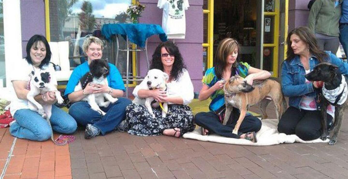 El caso de Susie propició una serie de transformaciones jurídicas en los Estados Unidos, que implementó mayores castigos a los responsables del maltrato a animales. 