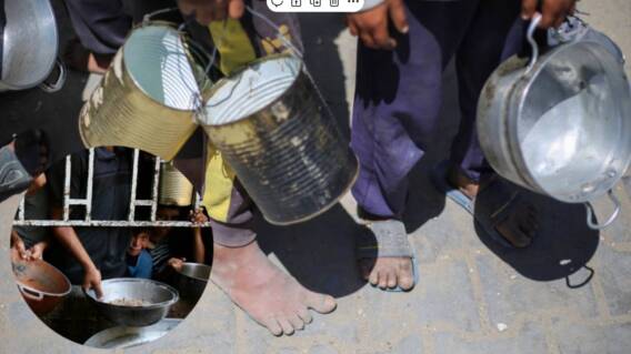La vida en Gaza: morir de hambre o morir en busca de alimento mientras siguen bombardeos de Israel La vida en Gaza: morir de hambre o morir en busca de alimento mientras siguen bombardeos de Israel