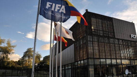 339741_fifafcf.jpg