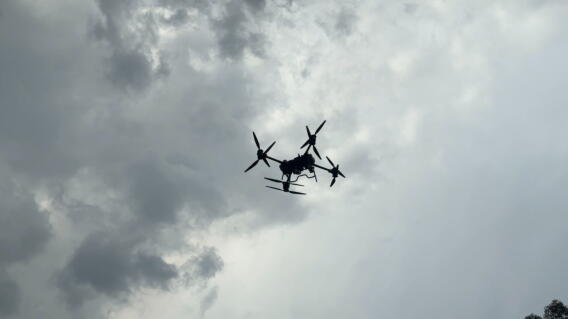 Dron.