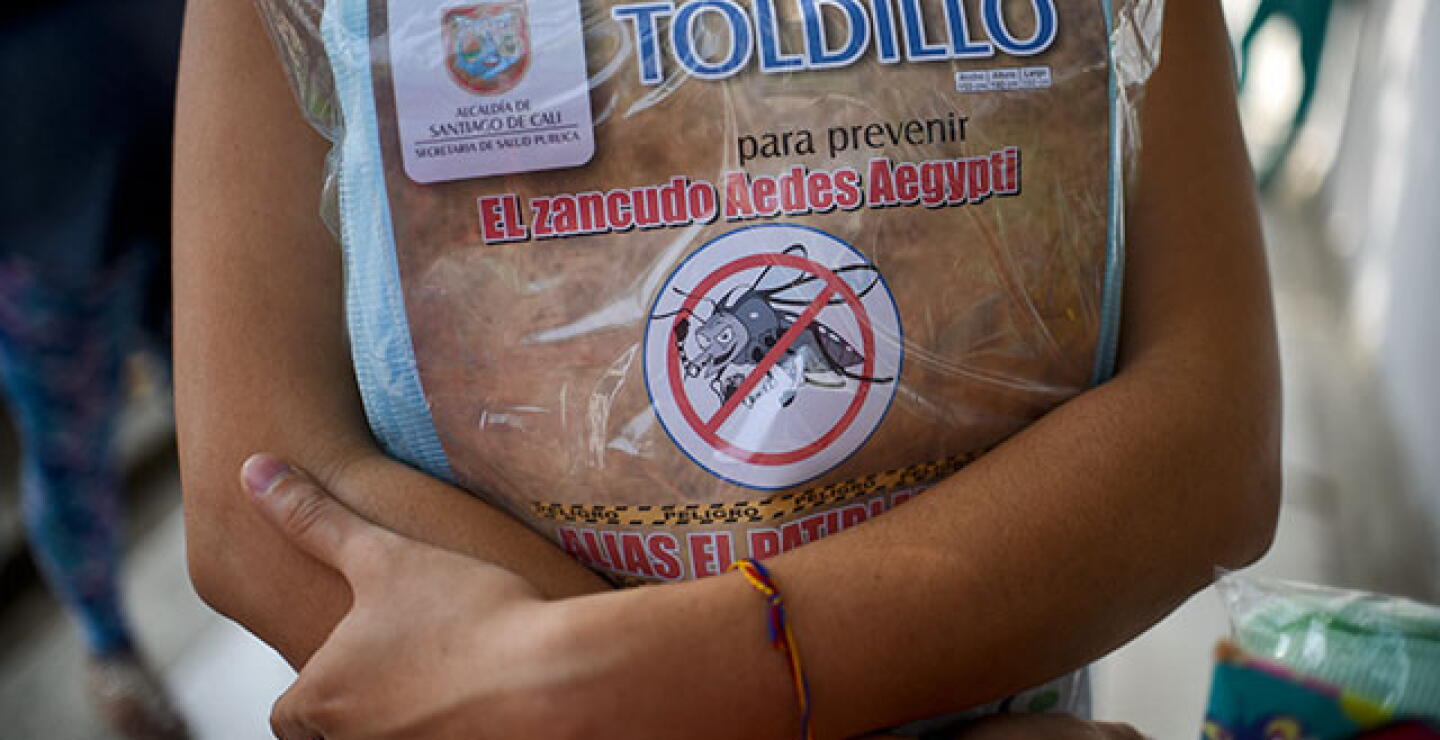 zika_3.jpg