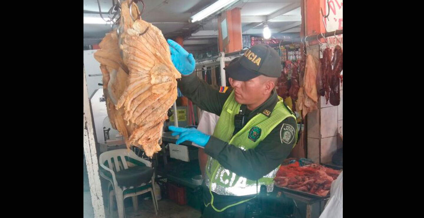 Alimentos enlatados. El producto debe contar con un rótulo completo y presentar como mínimo la siguiente información: nombre del producto, número de lote, registro sanitario, información del fabricante o importador.