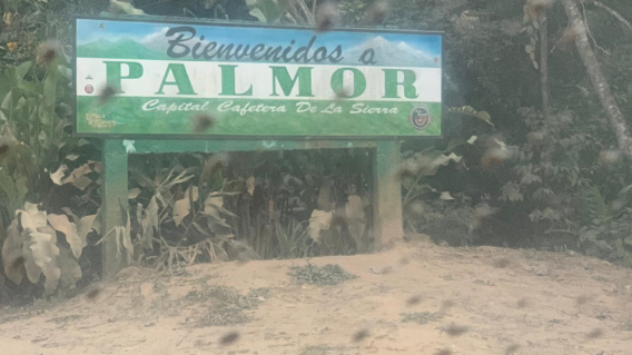 356716_BLU Radio. Palmor. Foto: BLU Radio