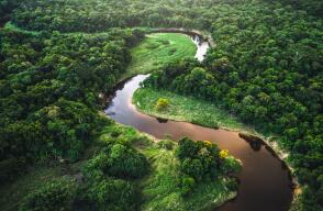 337771_amazonas0.jpg