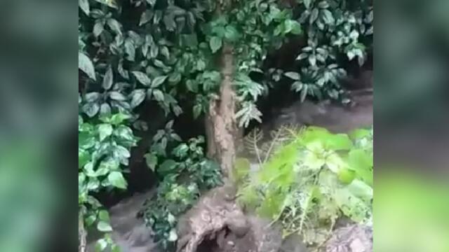 Habitante de Suaita denuncia creciente de una quebrada: “Estamos en zona de alto riesgo” Habitante de Suaita denuncia creciente de una quebrada: “Estamos en zona de alto riesgo”