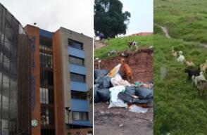 Joven de 19 años atacado por perros salvajes en Bosa está internado en Hospital de Kennedy