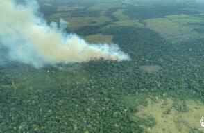 Senado de la República aprobó en segundo debate la ratificación del Acuerdo de Escazú