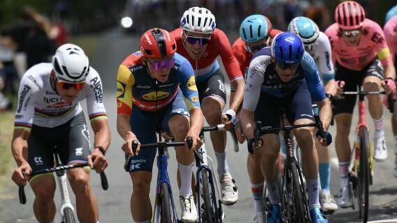 Giro de Italia 2025. Giro de Italia 2025.