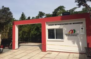 220476_Foto Consuelo Ordoñez