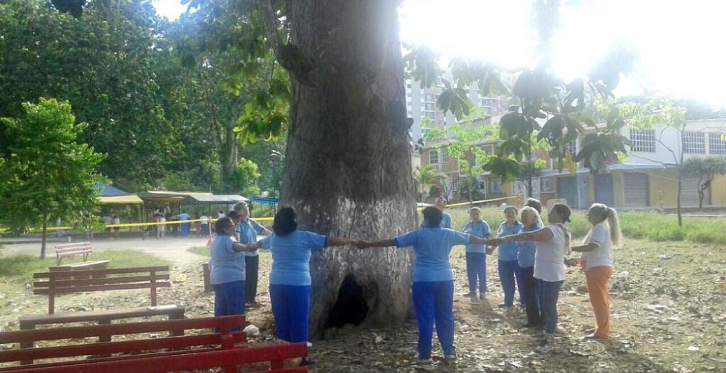 270435_Foto Antes de ser talado la comunidad rodeó el árbol y elevó una oración- Foto Alcaldía de Piedecuesta-CDMB