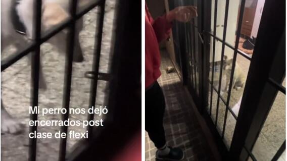 Perro dejó encerrados a profesora junto con ocho alumnos: video viral