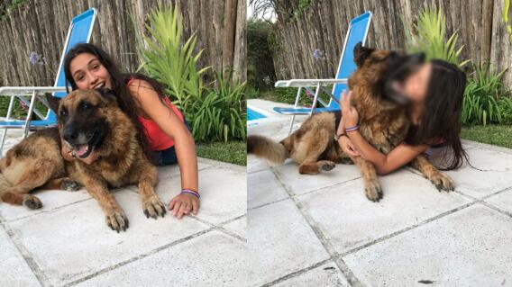 20539_SU perro la mordió cuando intentó sacarse fotos con él - Foto Twitter 20539_SU perro la mordió cuando intentó sacarse fotos con él - Foto Twitter