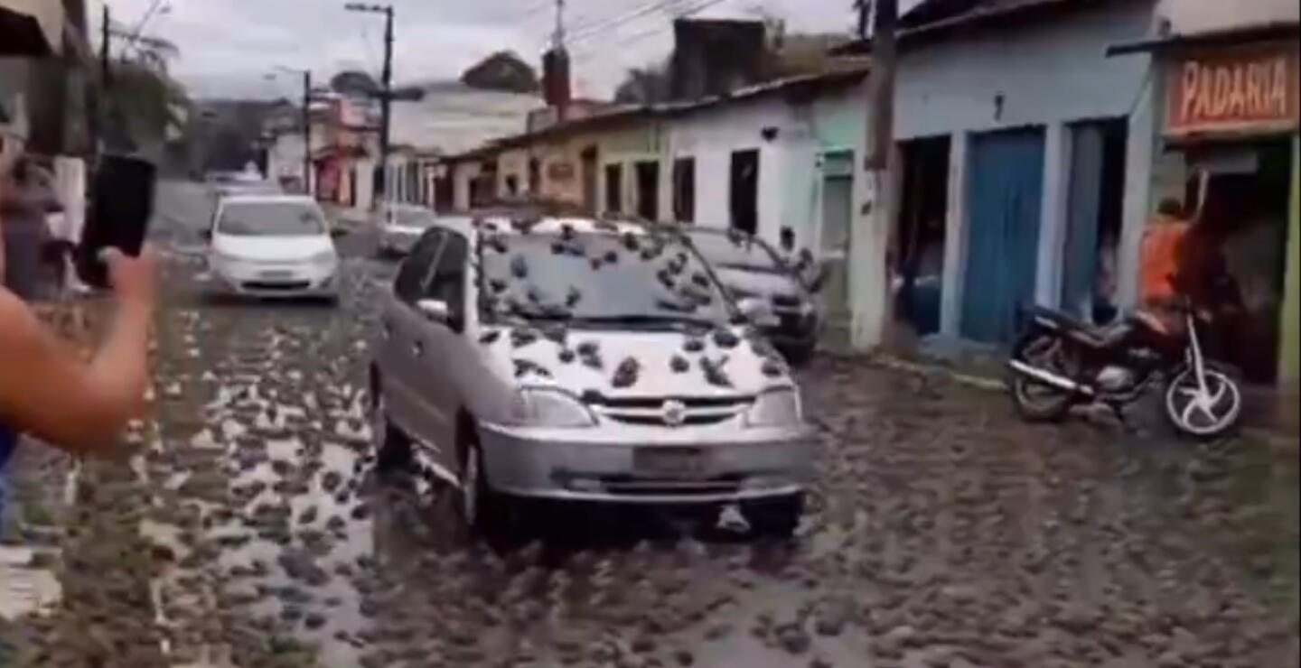 Fenómenos naturales 