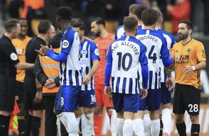 336483_Brighton & Hove Albion