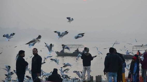 351812_India / Foto: AFP