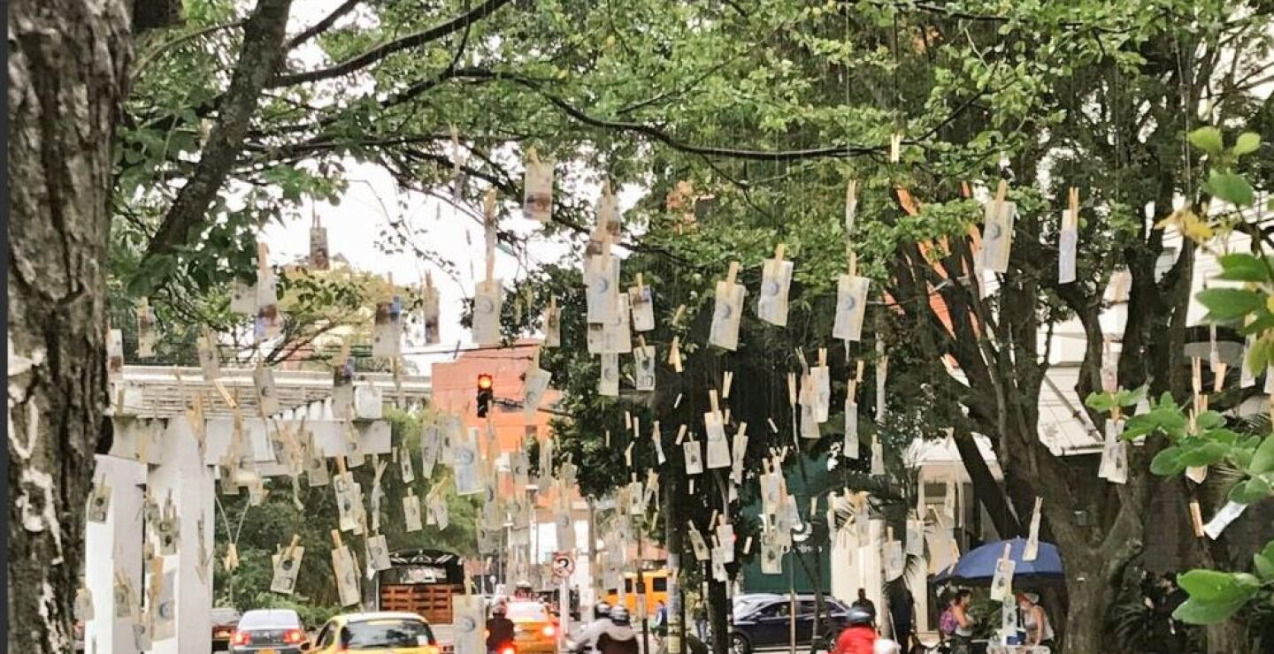 303489_Árbol de dinero Cali