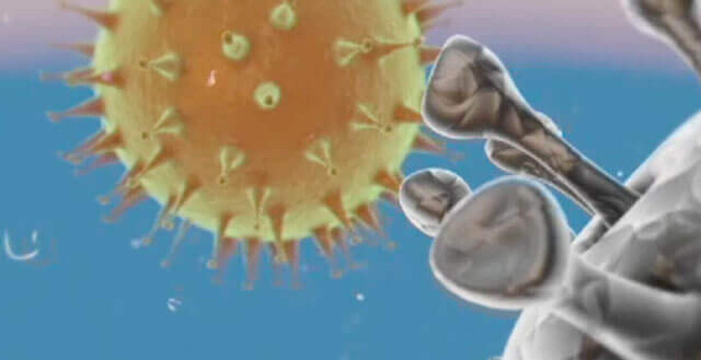 coronavirus_5.jpg