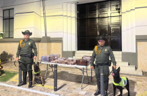 Perro Policía detectó cargamento de droga listo para comercializar en el área metropolitana de Bucaramanga