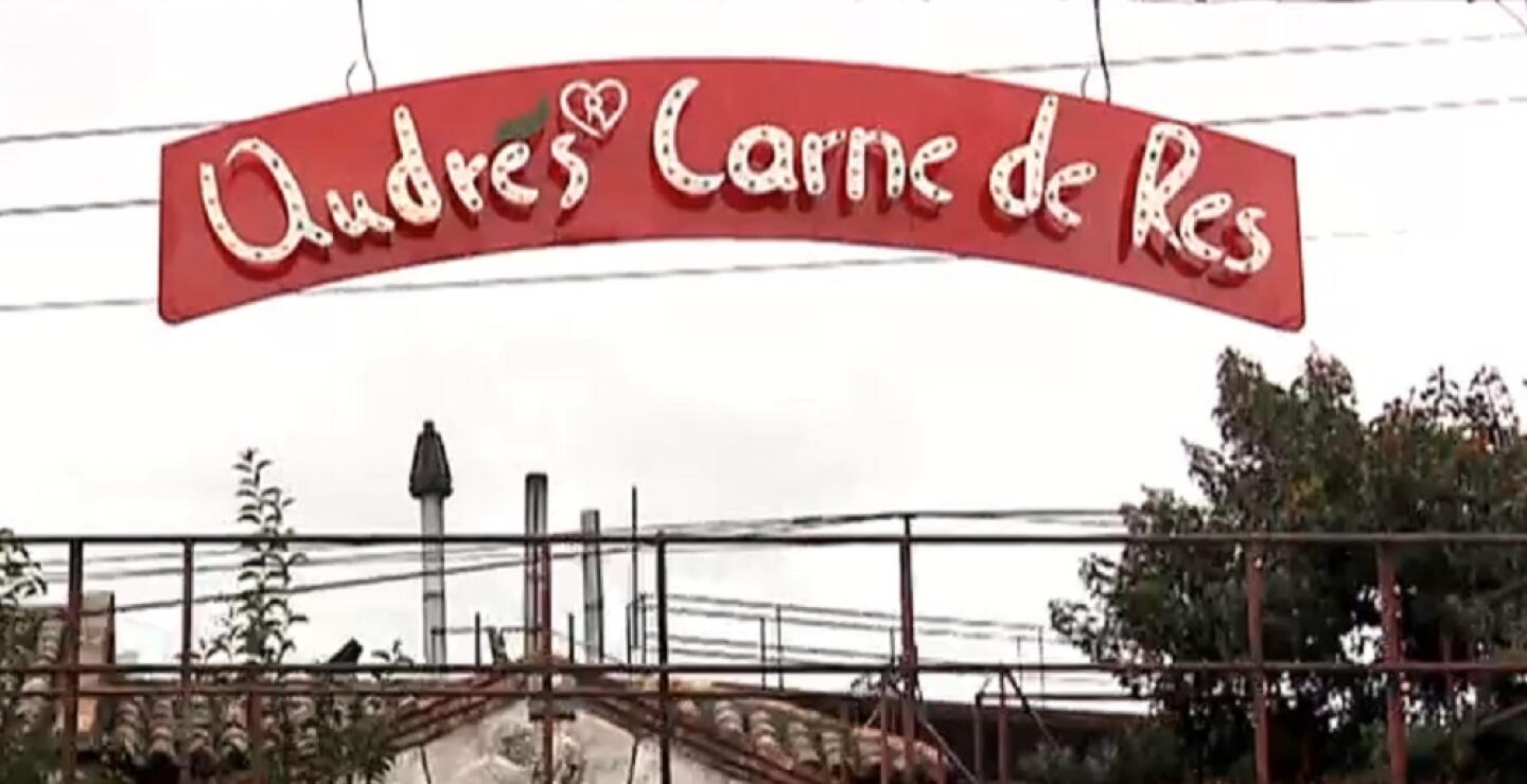 Andrés Carne de Res no ha dado información sobre accidente de Laura Villamil, dice abogado