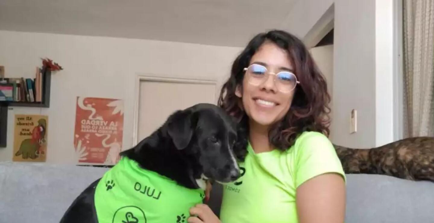 perro.JPG