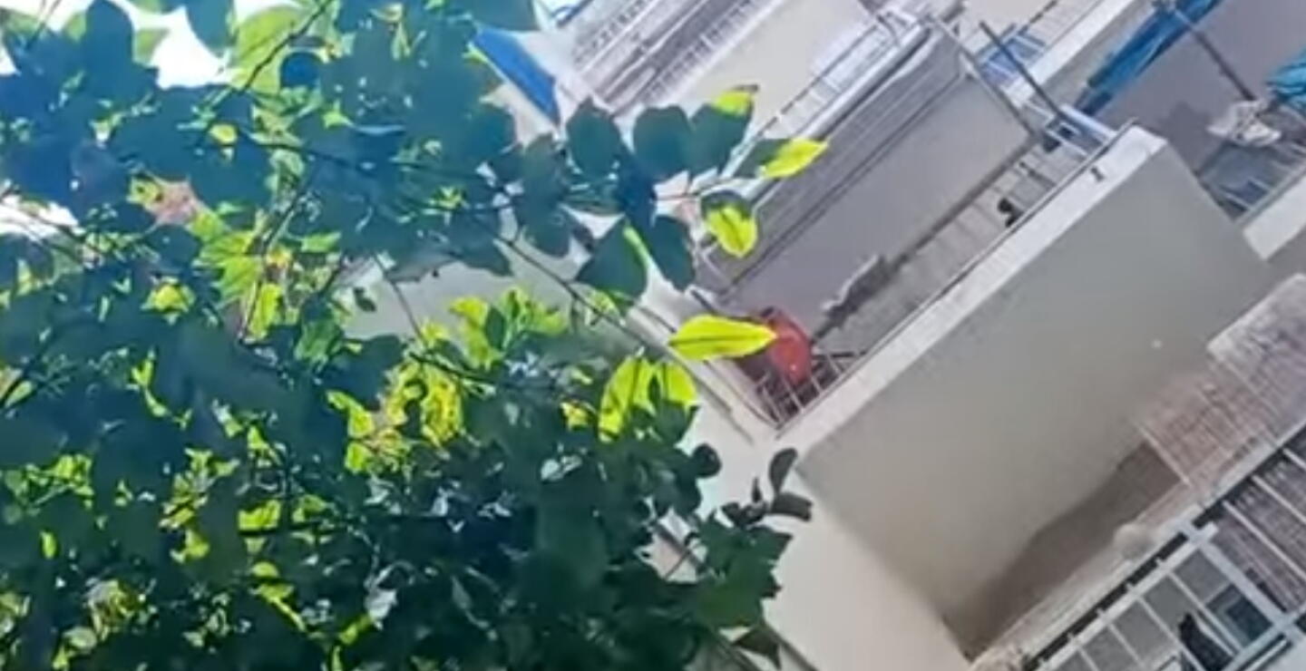Mama de dos hijos murió al caer accidentalmente por un balcón. 