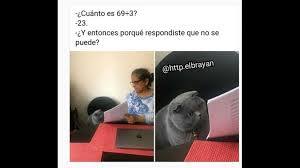 20197_meme_gato_examen.jpeg