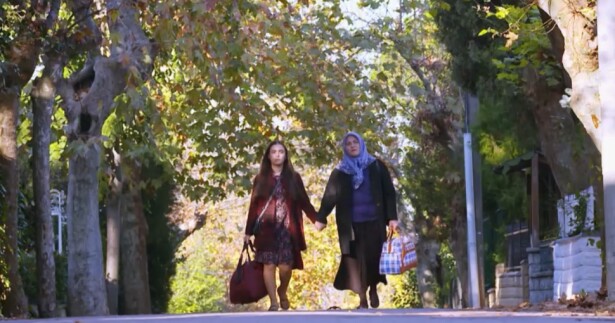 309603_elif970.jpg
