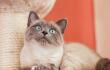 1758_Foto: Gato - AFP