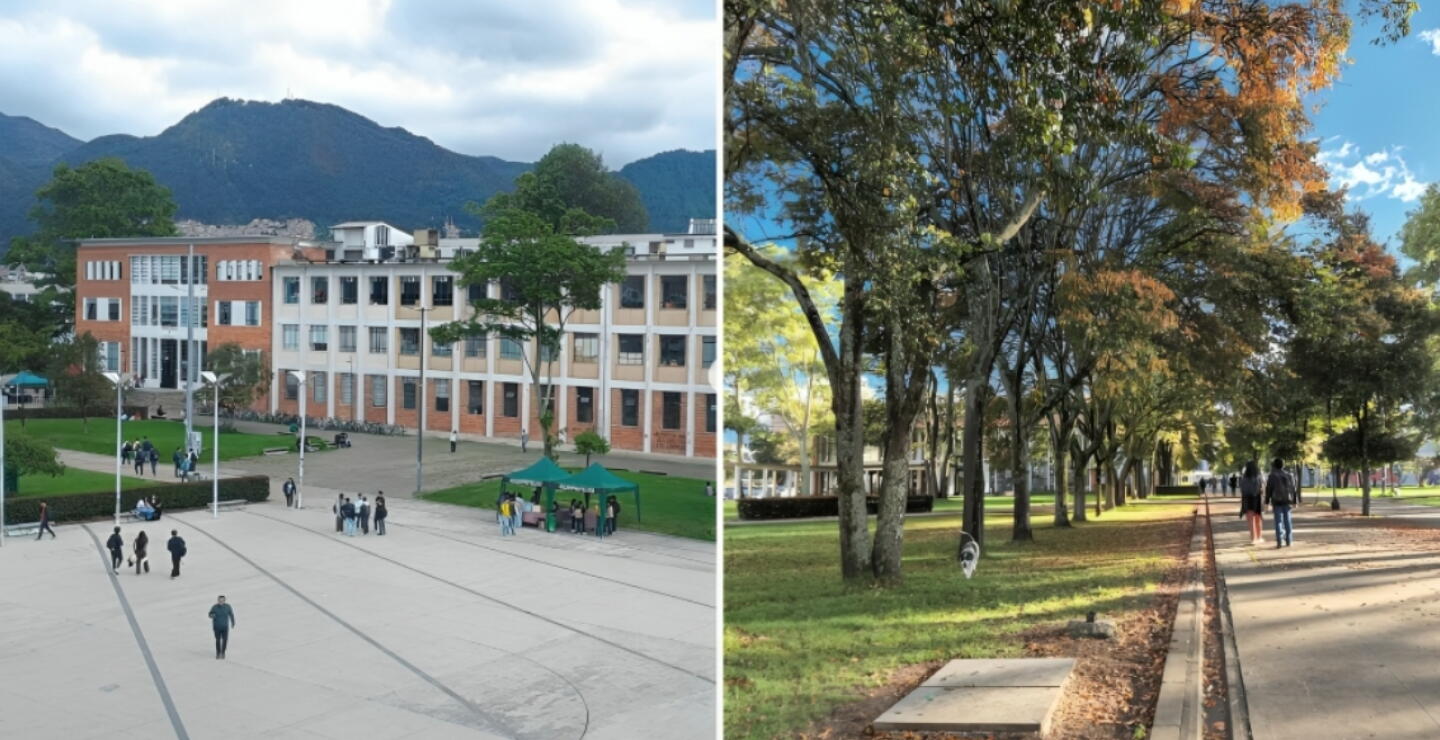 Universidad Nacional: ¿cuándo salen los resultados del examen de admisión 2027-1?
