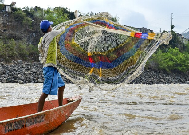 266615_Foto: AFP