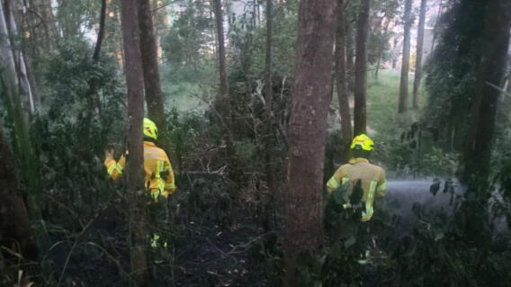 Incendio forestal en el sector de Seminario, Medellín
