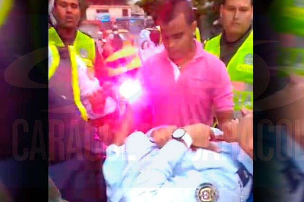 caracol_fill_foto_cali_0.jpg
