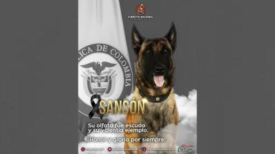 Perrito del Ejército (1).jpg Perrito del Ejército (1).jpg