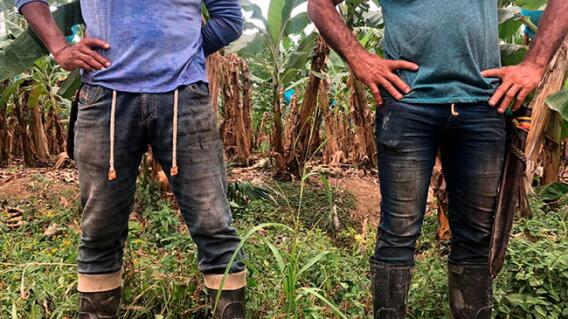 357764_Apartadó-restitución-blueradio