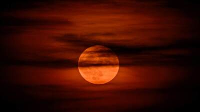 Luna de fresa. Luna de fresa.
