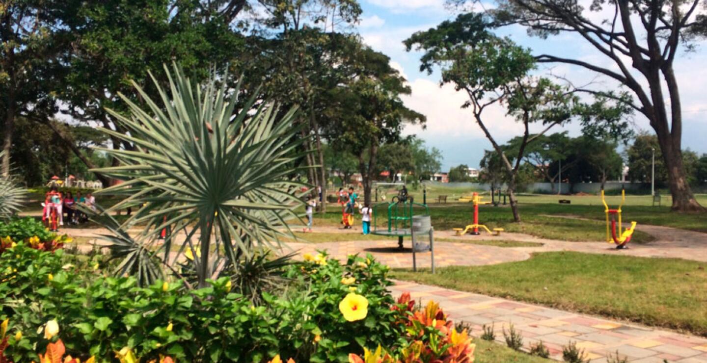 bosque-palmira-10.jpg